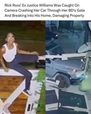 Image post by @nojumper on Instagram