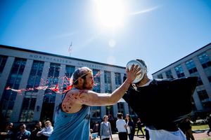 Image post by @northeastern on Instagram