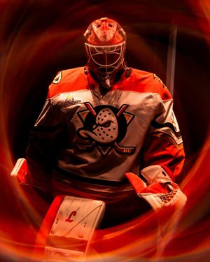 Image post by @perreauxphoto on Instagram