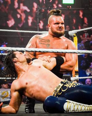 Image post by @tankledgerwwe on Instagram