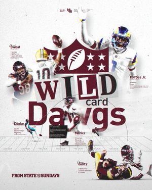 Image post by @hailstatefb on Instagram