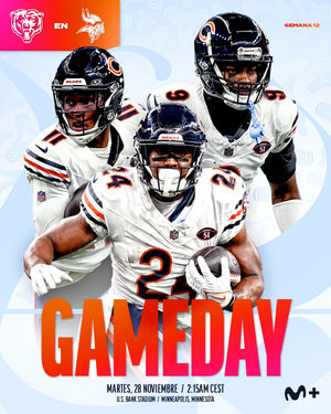 Image post by @bears_es on Instagram
