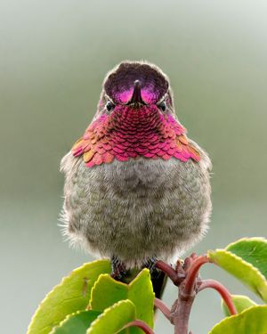 Image post by @sonyalpha on Instagram