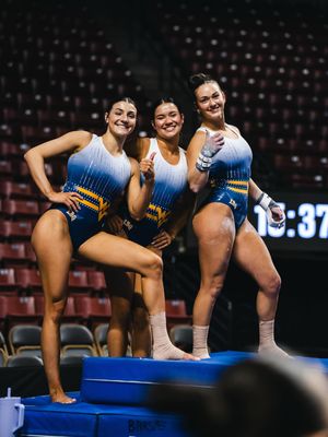 Image post by @wvugymnastics on Instagram