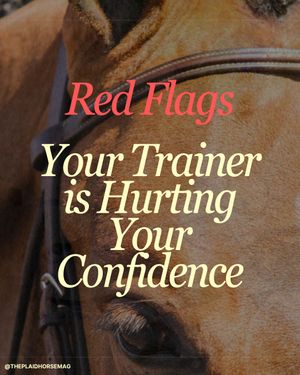 Image post by @theplaidhorsemag on Instagram