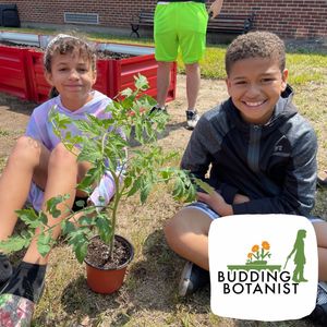 Image post by @kidsgardening on Instagram