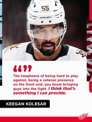 Image post by @detroitredwings on Instagram