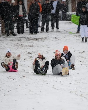 Image post by @clemsonuniversity on Instagram