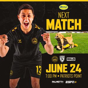 Image post by @charlestonbattery on Instagram