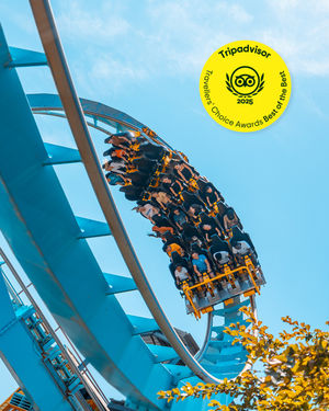 Image post by @draytonmanor on Instagram