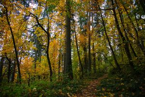 Image post by @uoregon on Instagram