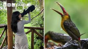 Video post by @bbcearth on YouTube