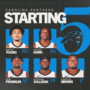 Image post by @panthers on Instagram