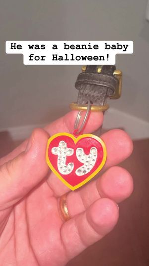 Video post by @MTZLER on Facebook