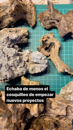 Video post by @aqualupi on Instagram