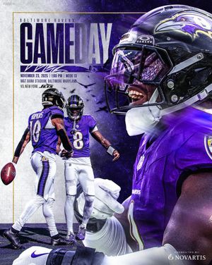 Image post by @ravens on Instagram