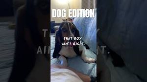 Video post by @evolsoulx on YouTube