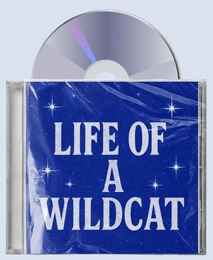 Image post by @_teamwildcat on Instagram