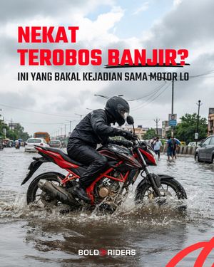 Image post by @boldriders on Instagram