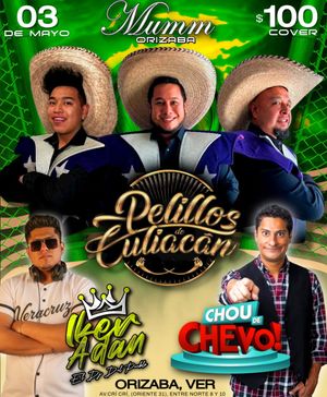 Image post by @pelillosdeculiacan on Instagram
