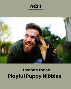 Image post by @achwalnutcreek on Instagram