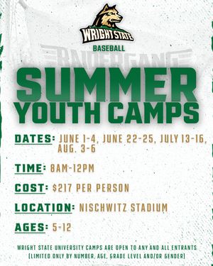Image post by @wrightstate_baseball on Instagram