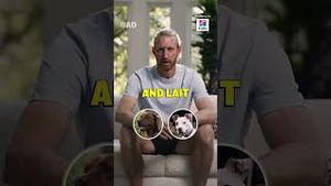 Video post by @whistlesports on YouTube