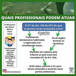 Image post by @operitoambiental on Instagram