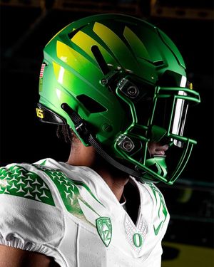 Image post by @goducks on Instagram