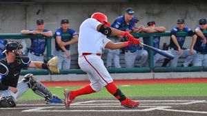 Image post by @unmlobobaseball on Instagram