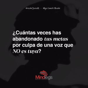Image post by @mindlegs on Instagram