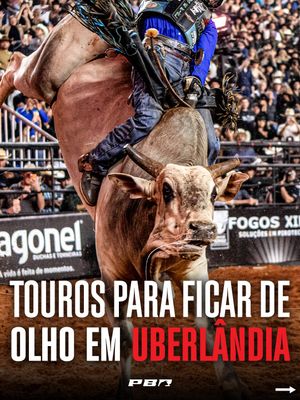 Image post by @pbrbrazil on Instagram
