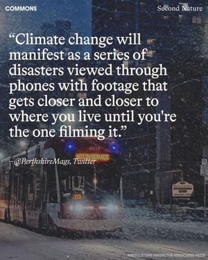 Image post by @commonsearth on Instagram