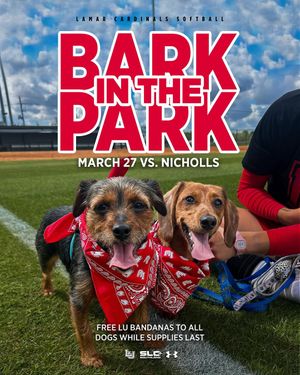 Image post by @lamar_softball on Instagram