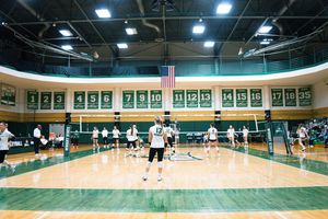 Image post by @designlexie on Instagram