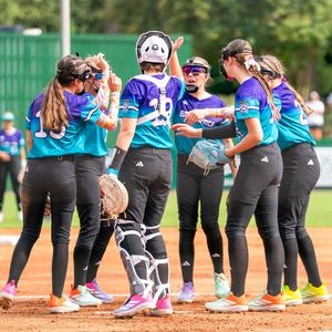 Image post by @littleleague on Instagram