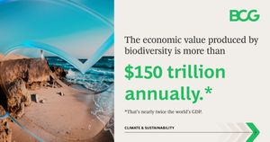Image post by @BCG on Twitter
