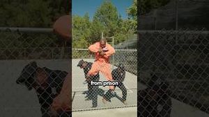 Video post by @lawbymike on YouTube