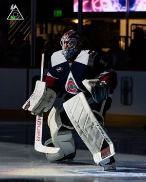 Image post by @truelefevre_goalie on Instagram