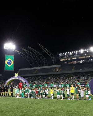 Image post by @palmeiras on Instagram