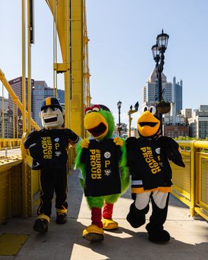 Image post by @penguins on Instagram