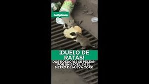 Video post by @laopinionla on YouTube