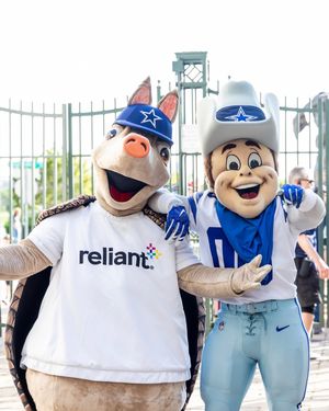 Image post by @reliantenergy on Instagram