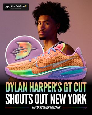 Image post by @soleretriever on Instagram