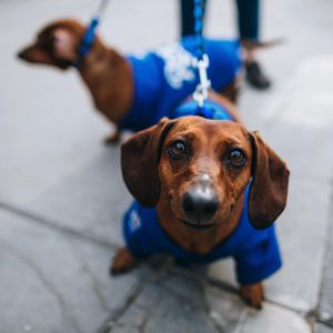 Image post by @kcroyals on Instagram