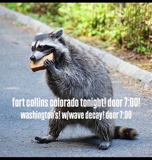 Image post by @thedandywarhols on Instagram