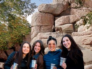 Image post by @denverzoo on Instagram