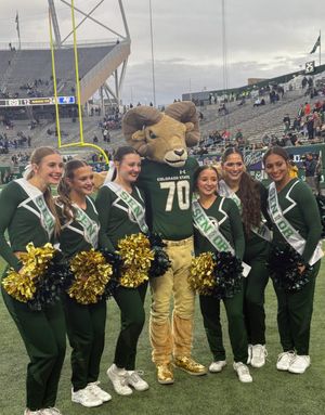 Image post by @csucheerleading on Instagram