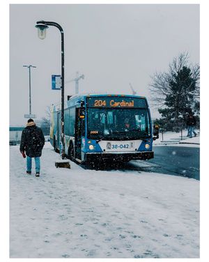 Image post by @mtl_unscripted on Instagram