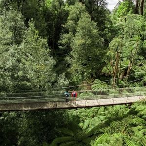 Image post by @visitmelbourne on Instagram